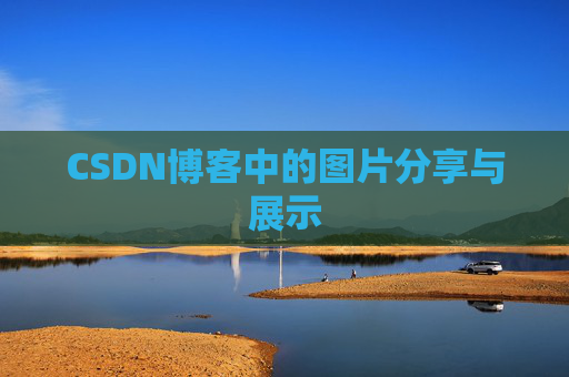 CSDN博客中的图片分享与展示